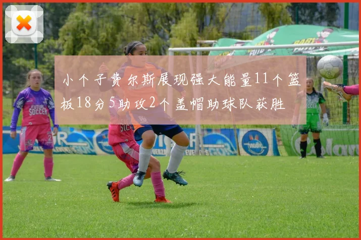 小个子费尔斯展现强大能量11个篮板18分5助攻2个盖帽助球队获胜