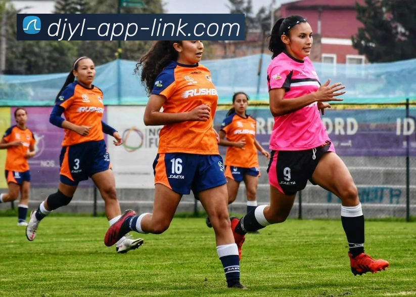 顶级娱乐appAPP 封面图